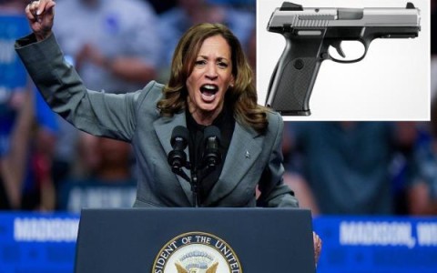 卡玛拉·哈里斯(Kamala Harris)建议在旧金山禁止居民持有手枪