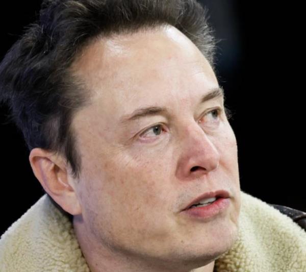 Elon Musk wasn't alone in his reasoning. Credit: Michael M. Santiago / Staff