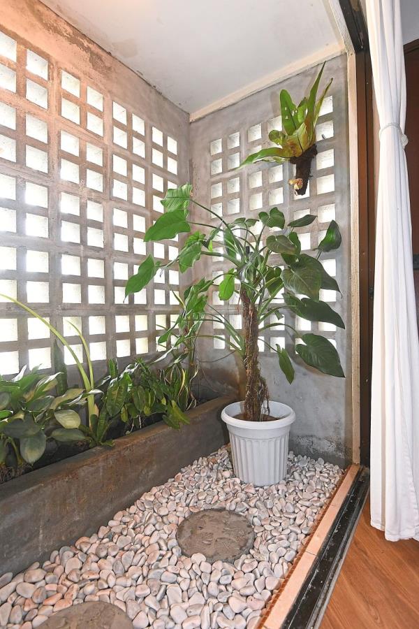 A cosy mini garden in the main living area brings in nature.