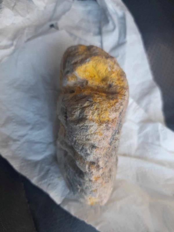 帕特里克·威廉姆森说,他的狗丢了球,捡起了他认为是鲸鱼呕吐物的块状物。