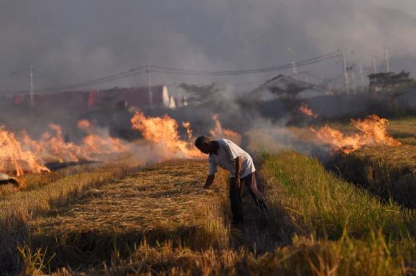 DOE activates action plans following unhealthy air quality in several areas, says its D-G