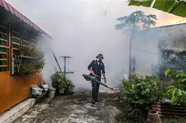 Health ministry: Dengue cases down 2.2pc, four fatalities reported