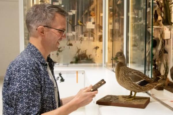 The mallard has a British accent through the AI.