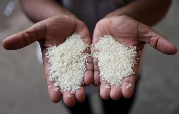 Experts say if left unchecked Malaysia could feel pinch of India's rice ban within weeks